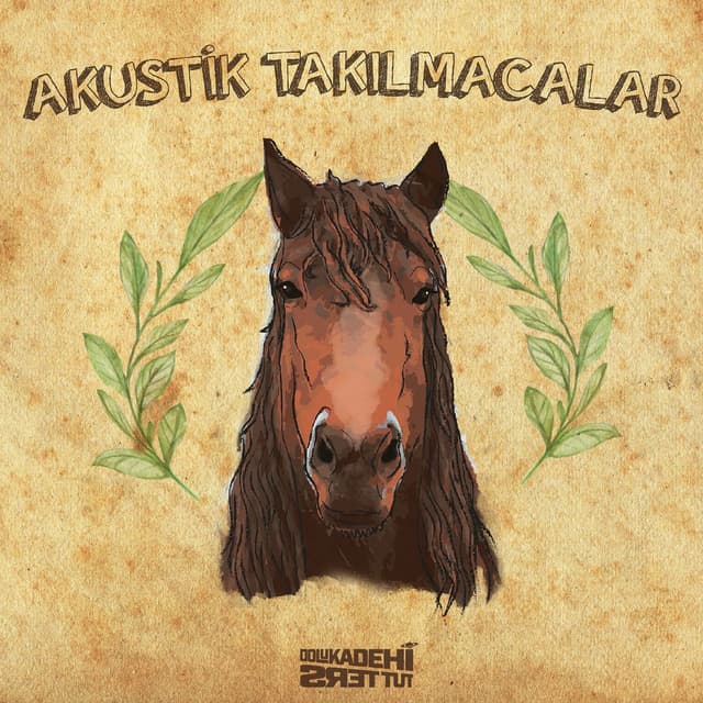 Akustik Takılmacalar cover