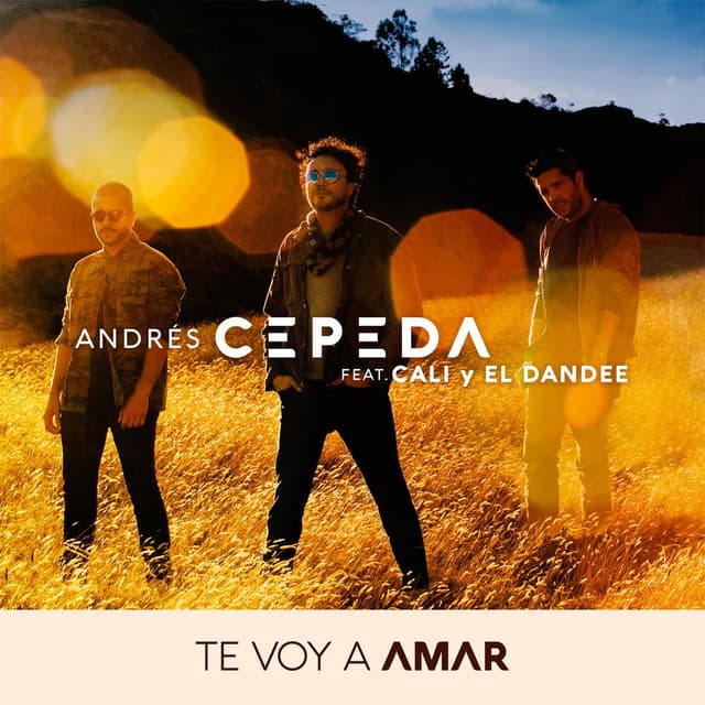 Te voy a amar cover