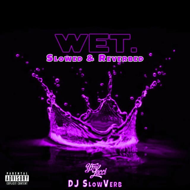 Wet (She Got That…) (Slowed & Reverbed) cover