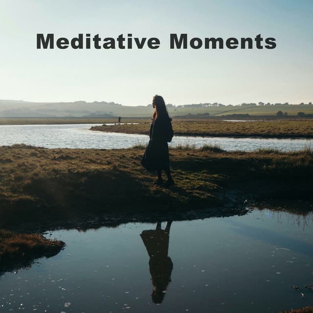 Meditative Moments cover