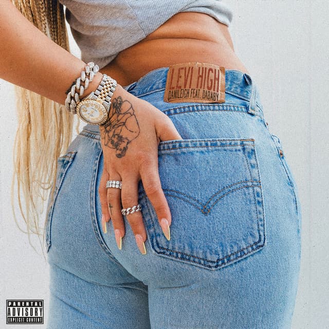 Levi High cover
