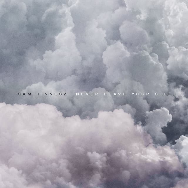 Never Leave Your Side cover
