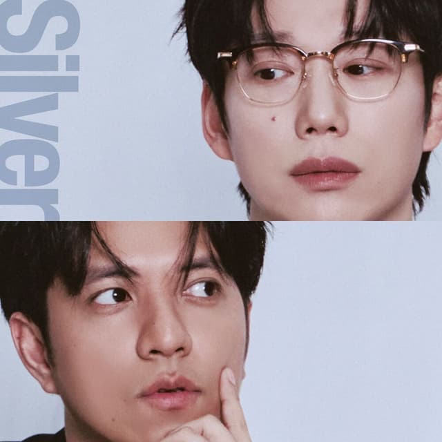 Silver cover