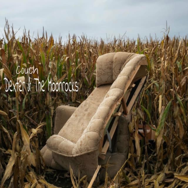 Couch cover