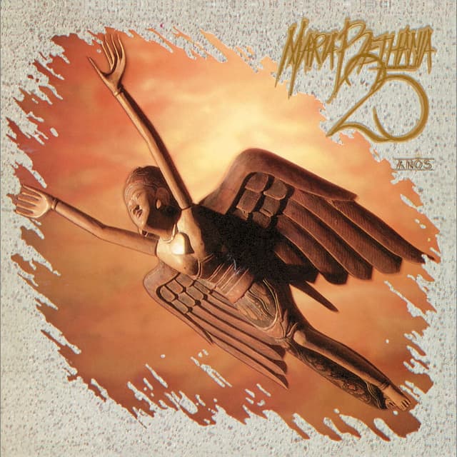 Maria Bethania - 25 Anos cover