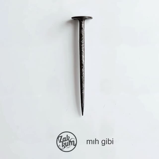 Mıh Gibi cover