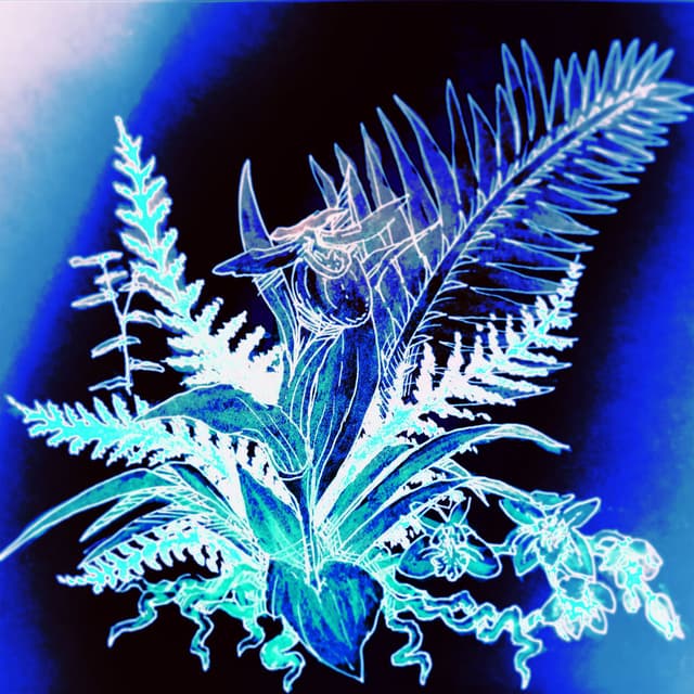 orchids (playlist version) cover