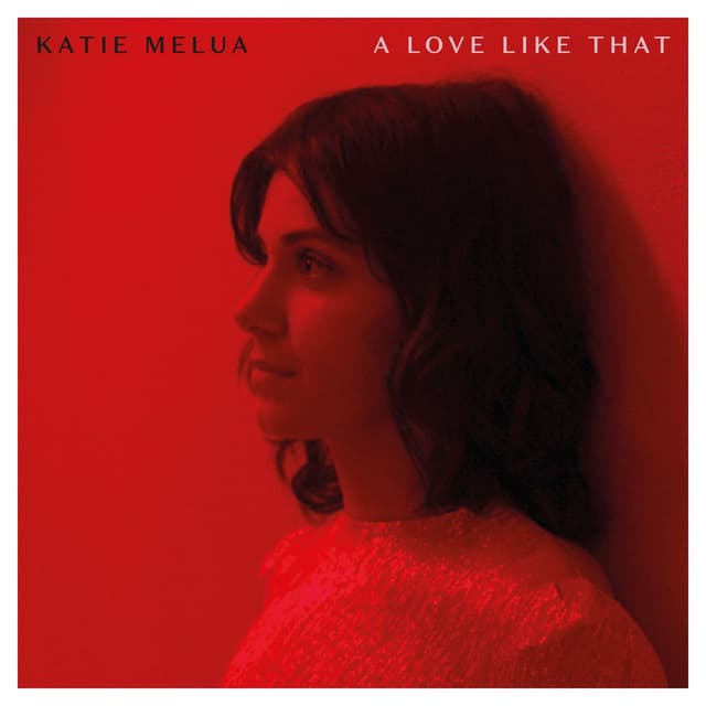 A Love Like That cover