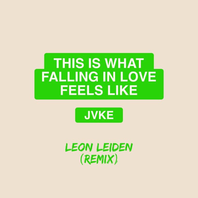 this is what falling in love feels like (Leon Leiden remix) cover