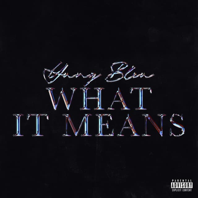 What It Means cover