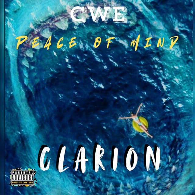 Peace of Mind cover