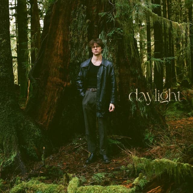 Daylight cover