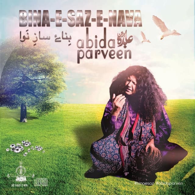 Bina e Saz e Nava cover