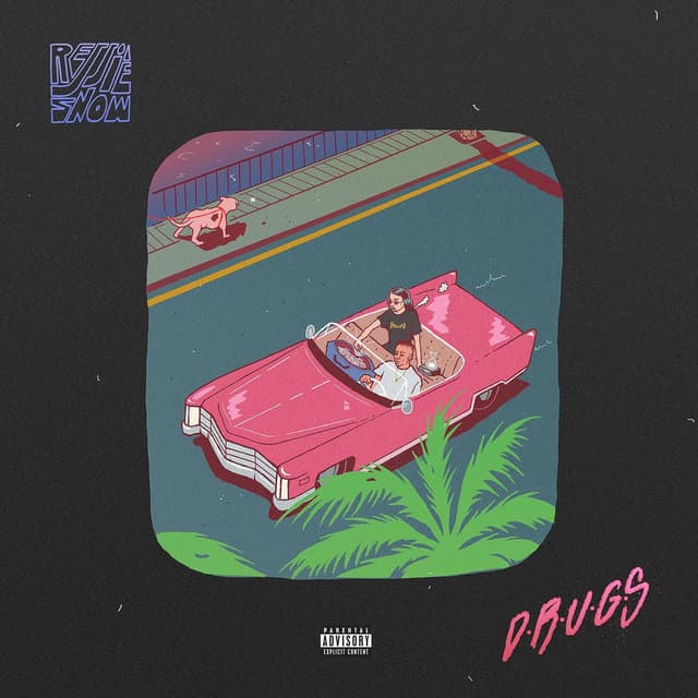 D.R.U.G.S. cover