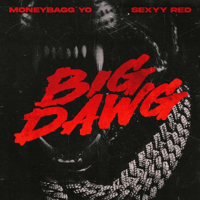 Big Dawg cover