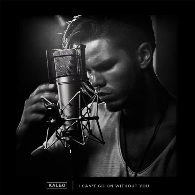 I Can't Go on Without You cover