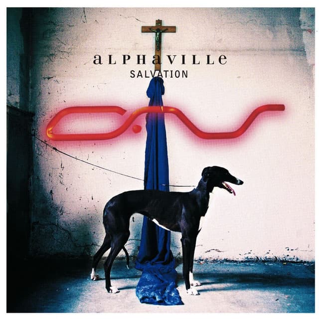Salvation album cover