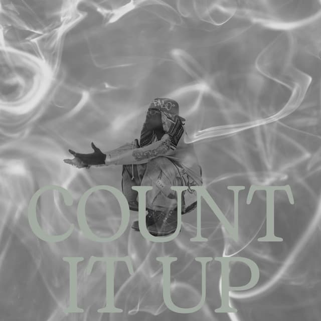 Count It Up cover