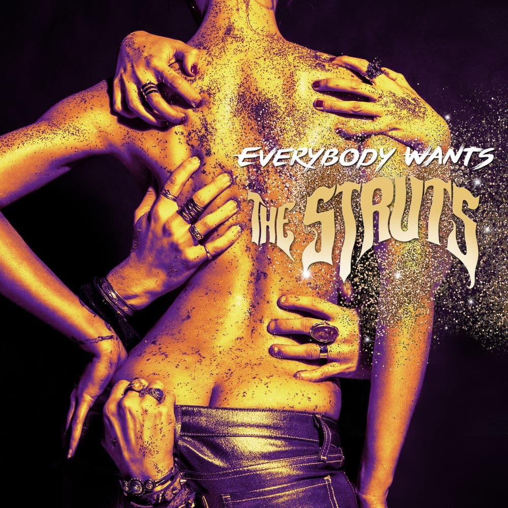 Everybody Wants cover