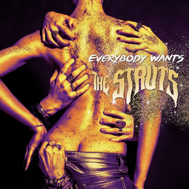 Everybody Wants album cover
