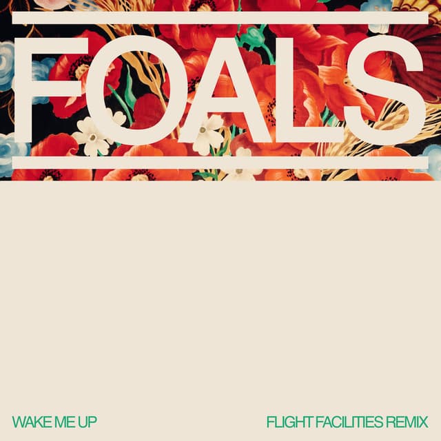 Wake Me Up (Flight Facilities Remix) cover