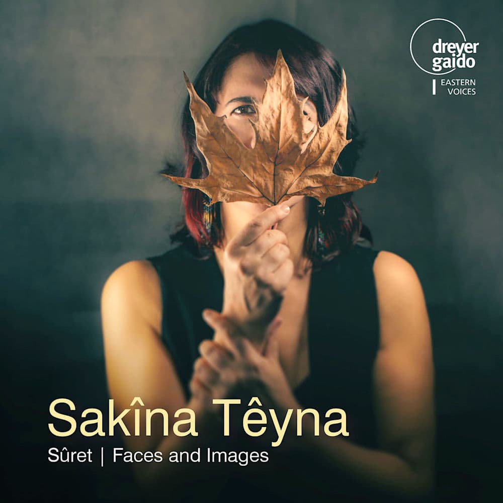 Sûret - Faces and Images cover