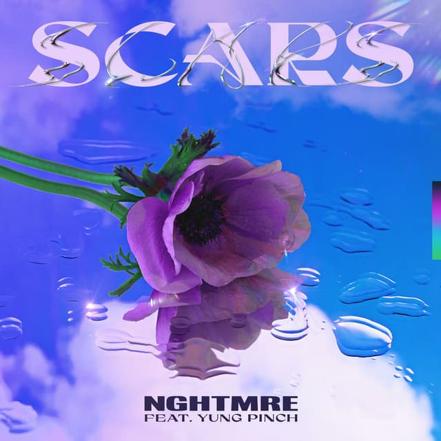 Scars cover