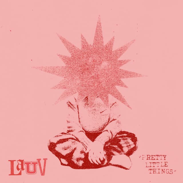 Pretty Little Things cover