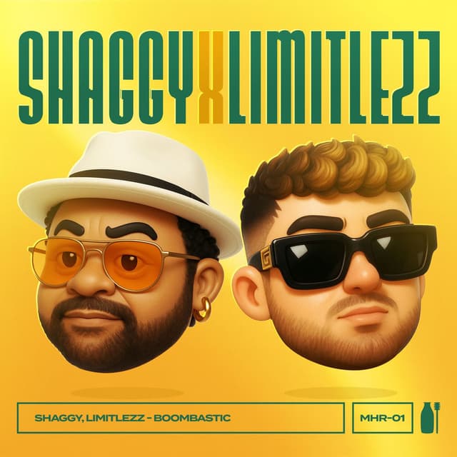 Boombastic cover