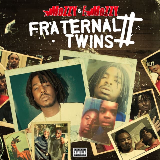 Fraternal Twins 2 cover
