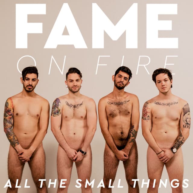 All the Small Things cover