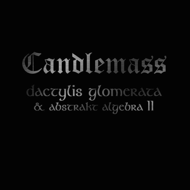Dactylis Glomerate & Abstrakt Algebra II cover