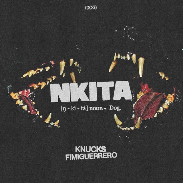 NKITA (feat. Fimiguerrero) cover