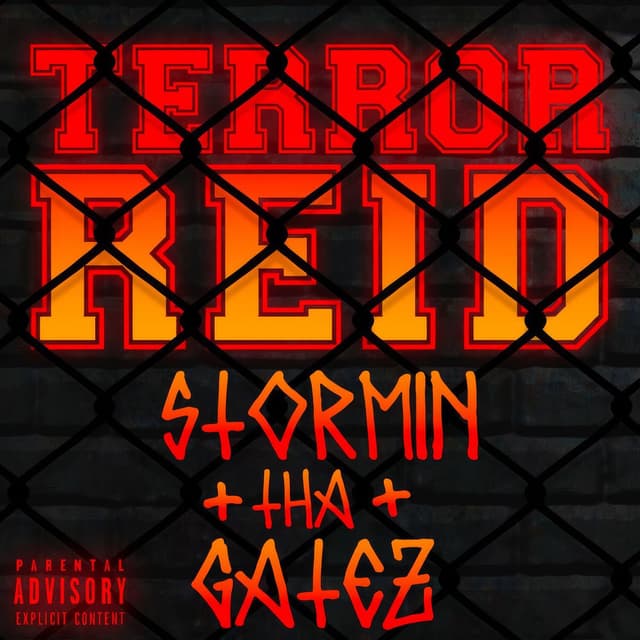 Stormin tha Gatez cover