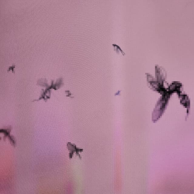 AA BOUQUET FOR YOUR 180 FACE album cover