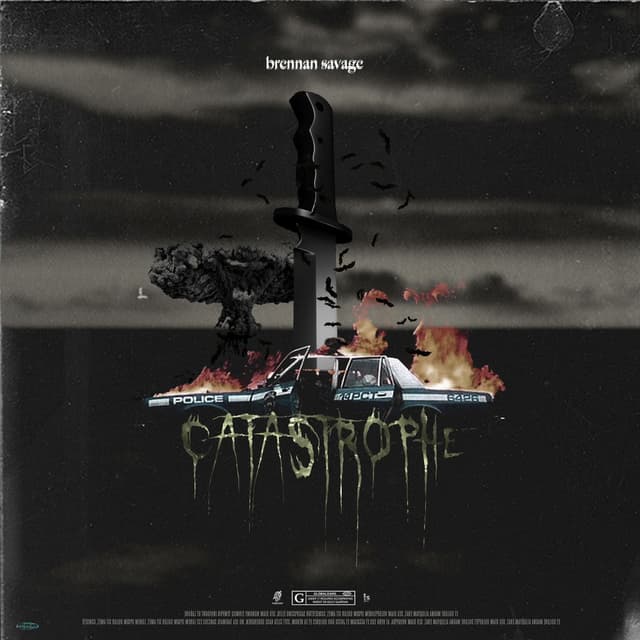 Catastrophe cover