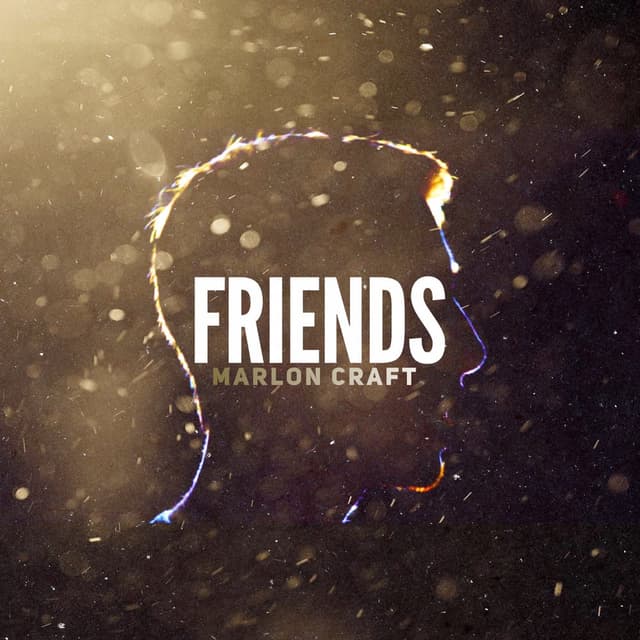 Friends cover