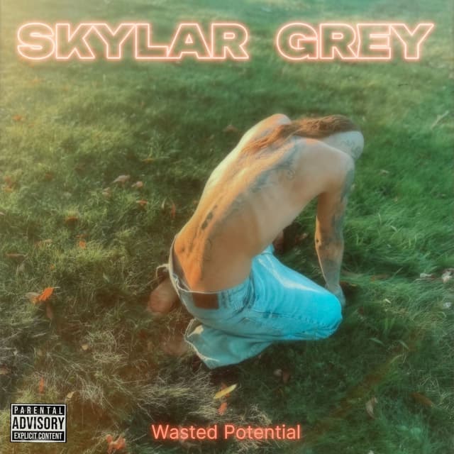 Wasted Potential album cover