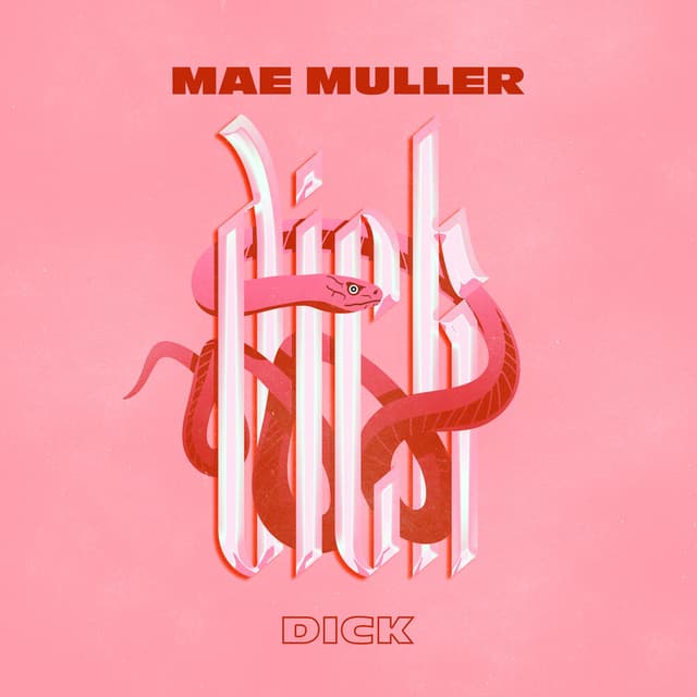 Dick cover