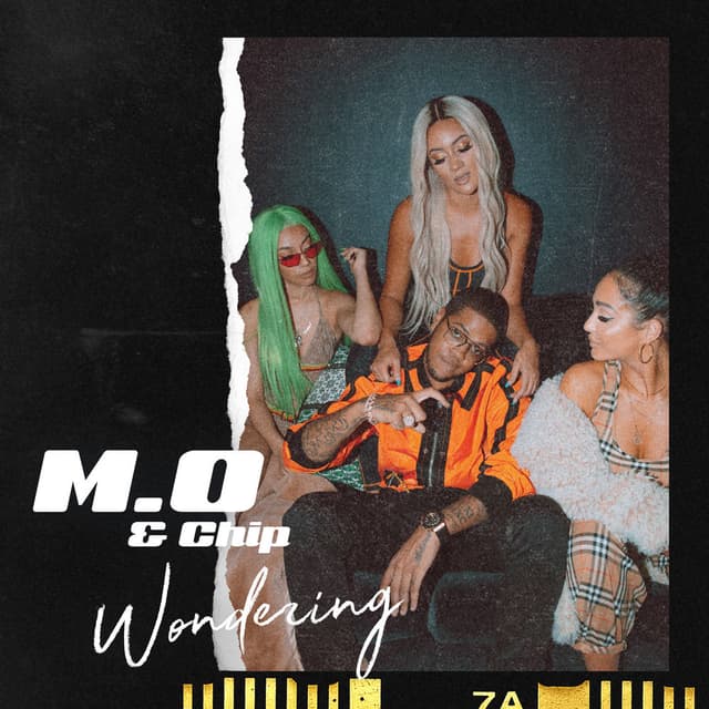 Wondering cover