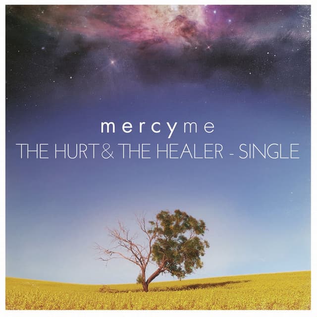 The Hurt & The Healer cover