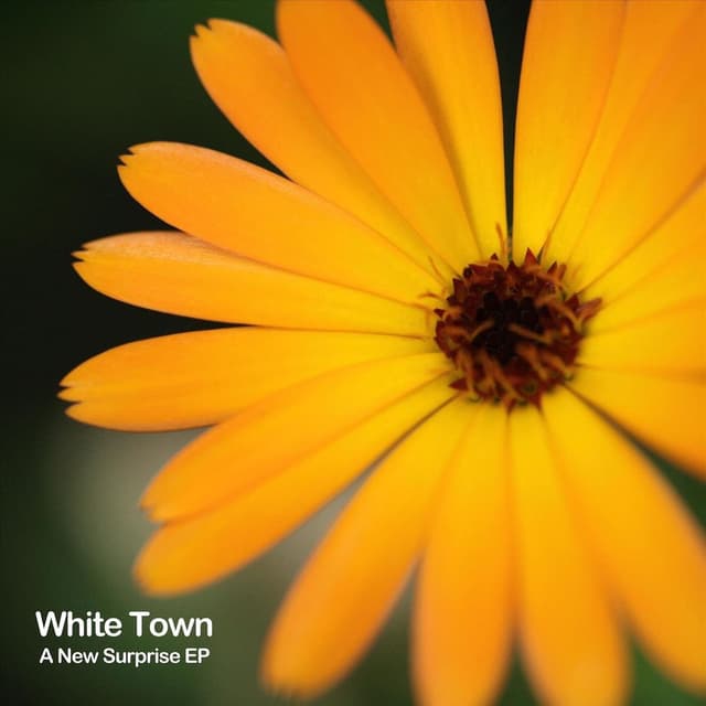 A New Surprise - EP cover