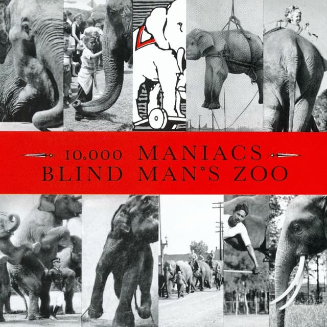 Blind Man's Zoo cover