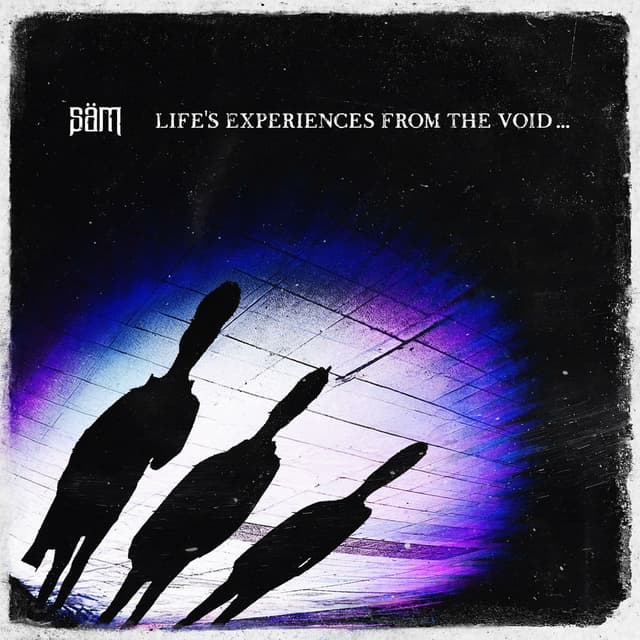 Life's Experiences From The Void cover
