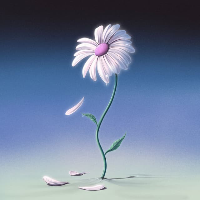 AURORA/DEAD FLOWERS cover
