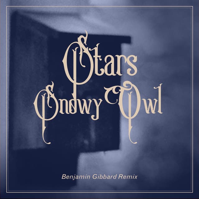 Snowy Owl (Benjamin Gibbard Remix) cover