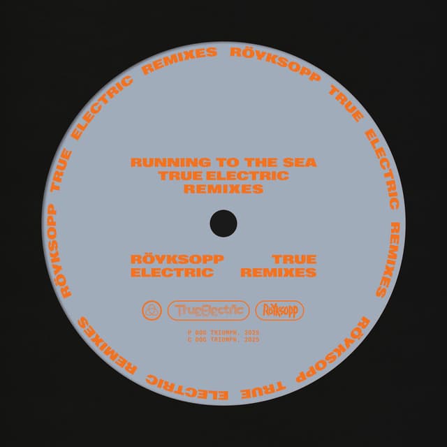 Running To The Sea (True Electric Remixes) cover