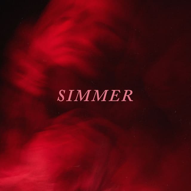 Simmer cover