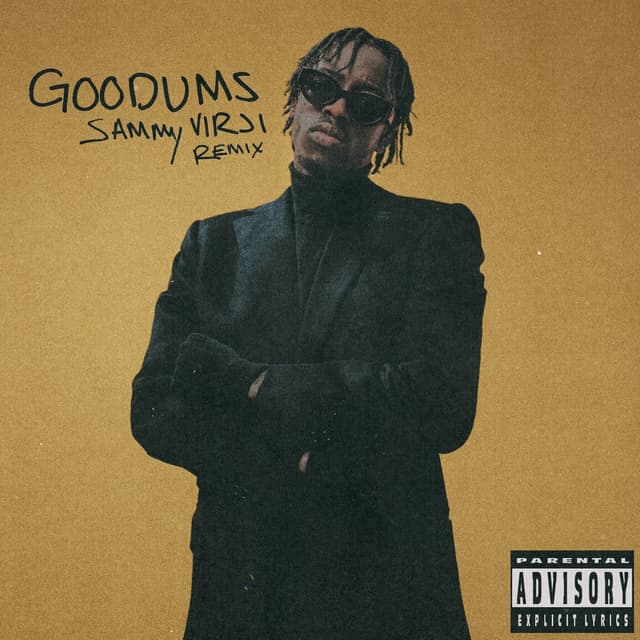 Goodums (Sammy Virji Remix) cover