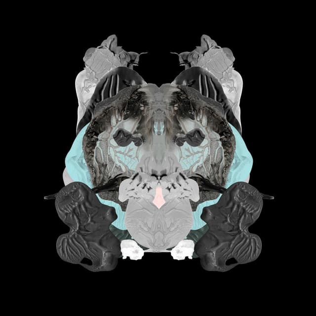Rorschach cover